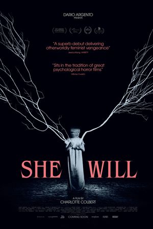 She Will's poster