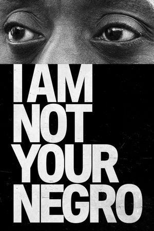I Am Not Your Negro's poster