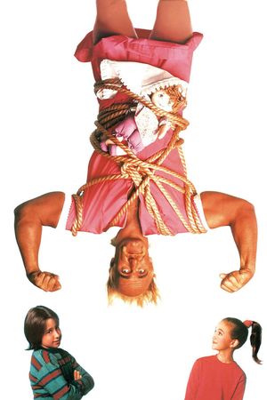 Mr. Nanny's poster