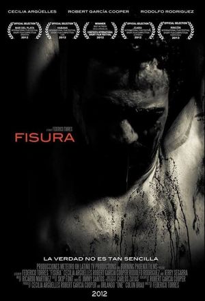 Fisura's poster