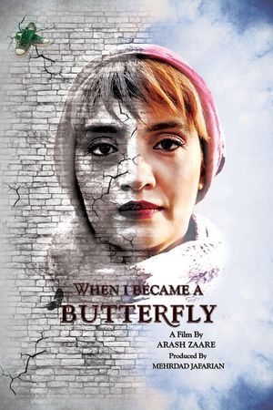 When I Became a Butterfly's poster image