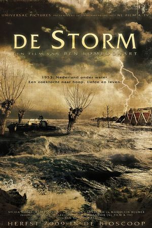 The Storm's poster