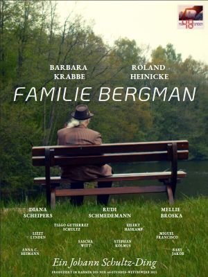 The Bergmans's poster image