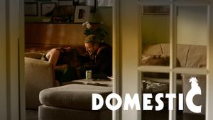 Domestic's poster