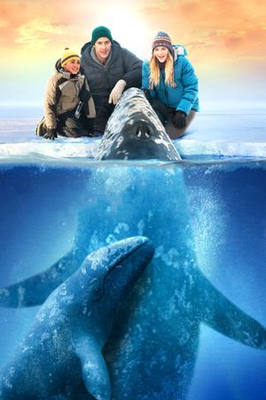 Big Miracle's poster