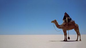 Lawrence of Arabia's poster
