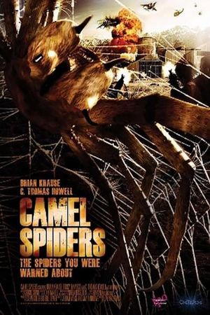 Camel Spiders's poster