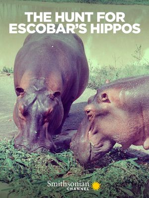 The Hunt for Escobar's Hippos's poster