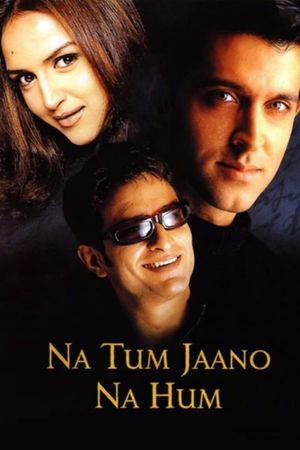 Na Tum Jaano Na Hum's poster