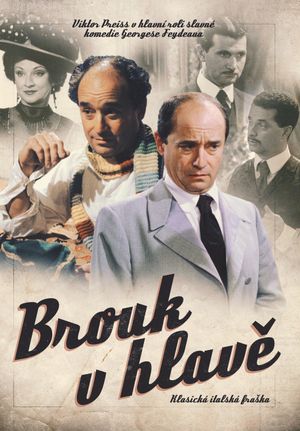 Brouk v hlavě's poster