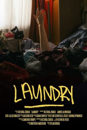 Laundry's poster