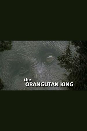 The Orangutan King's poster