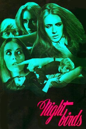 Nightbirds's poster