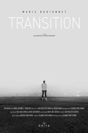 Transition's poster