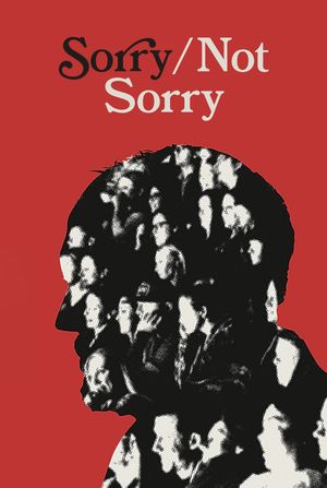 Sorry/Not Sorry's poster