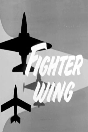 Fighter Wing's poster