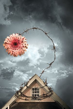 Petals on the Wind's poster