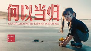 台湾大宝荐：何以当归's poster