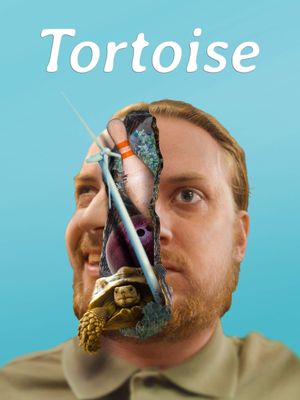 Tortoise's poster