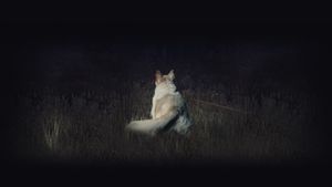 It Comes at Night's poster