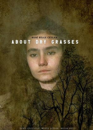 About Dry Grasses's poster
