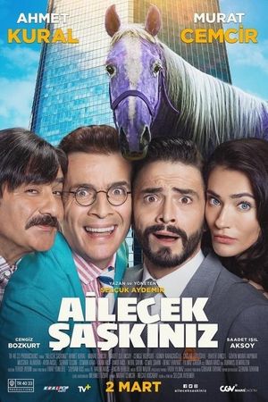 Ailecek Saskiniz's poster