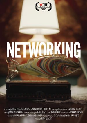 Networking's poster
