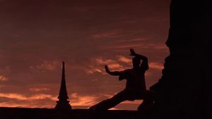 Kickboxer's poster