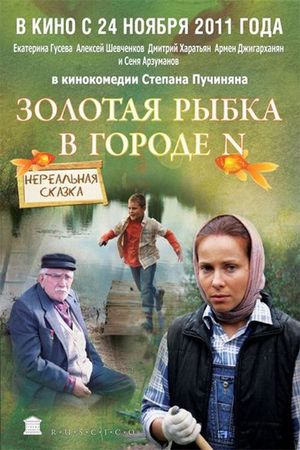 Zolotaya rybka v gorode N's poster