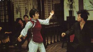 Attack of the Kung Fu Girls's poster