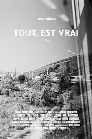 Tout est vrai (All Is True)'s poster