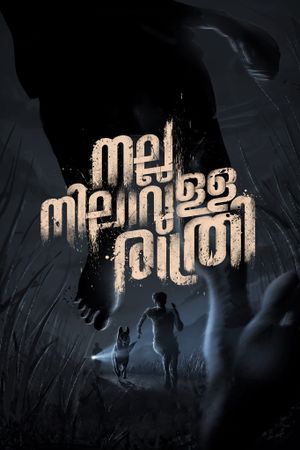 Nalla Nilavulla Rathri's poster