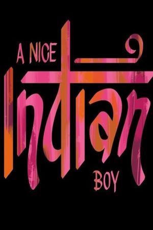 A Nice Indian Boy's poster image