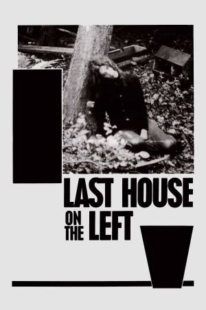 The Last House on the Left's poster