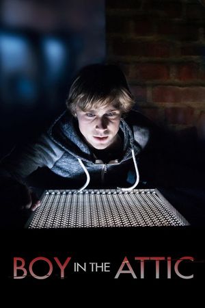 Secrets in the Attic's poster
