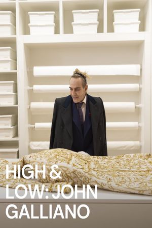 High & Low - John Galliano's poster