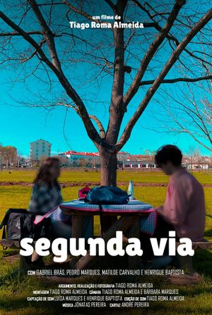 Second Chance's poster