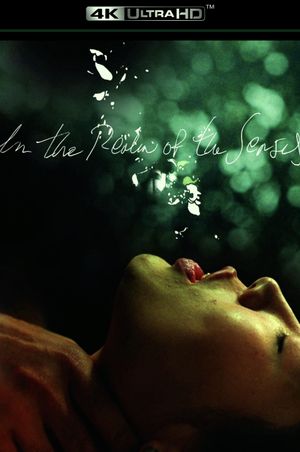 In the Realm of the Senses's poster