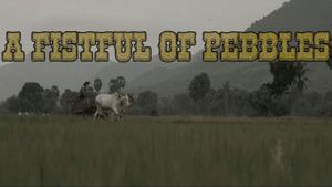 A Fistful Of Pebbles's poster