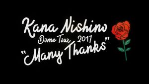 Kana Nishino Dome Tour 2017 Many Thanks's poster