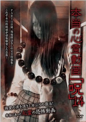 Hontō no Shinrei Dōga 'Noroi' 14's poster