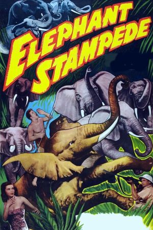 Elephant Stampede's poster