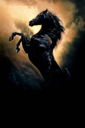 The Young Black Stallion's poster
