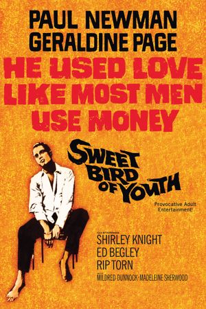Sweet Bird of Youth's poster