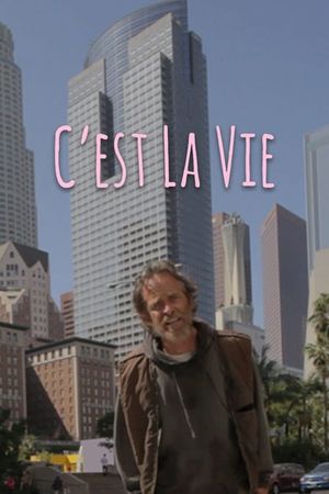 C'est la Vie's poster