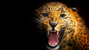 Among Big Cats and Anteaters - With Lydia Möcklinghoff in Brazil's wildlife's poster