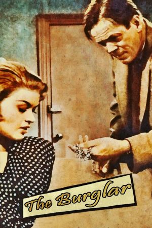 The Burglar's poster