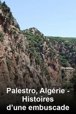 Palestro, Algérie: Histoires d'une embuscade's poster