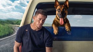 Dog's poster