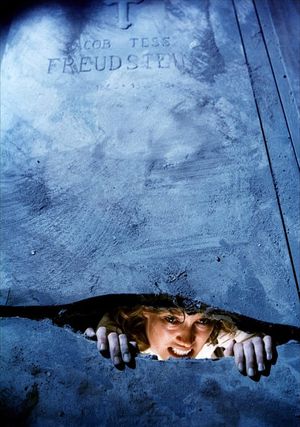 The House by the Cemetery's poster